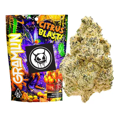 Pineapple Express | Infused Flower | STIIIZY